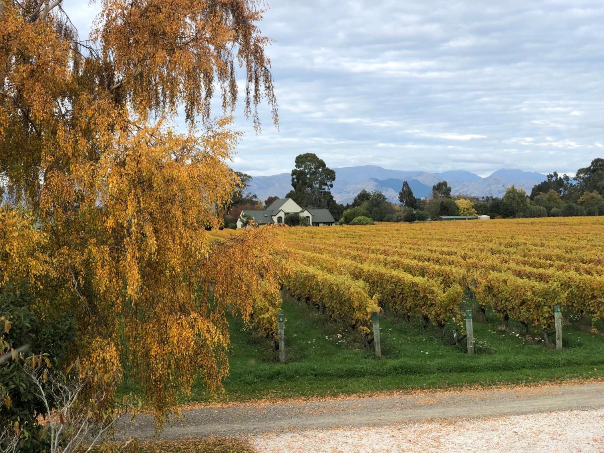 Vineyard Cottage In Blenheim On The Golden Mile Eksteriør bilde